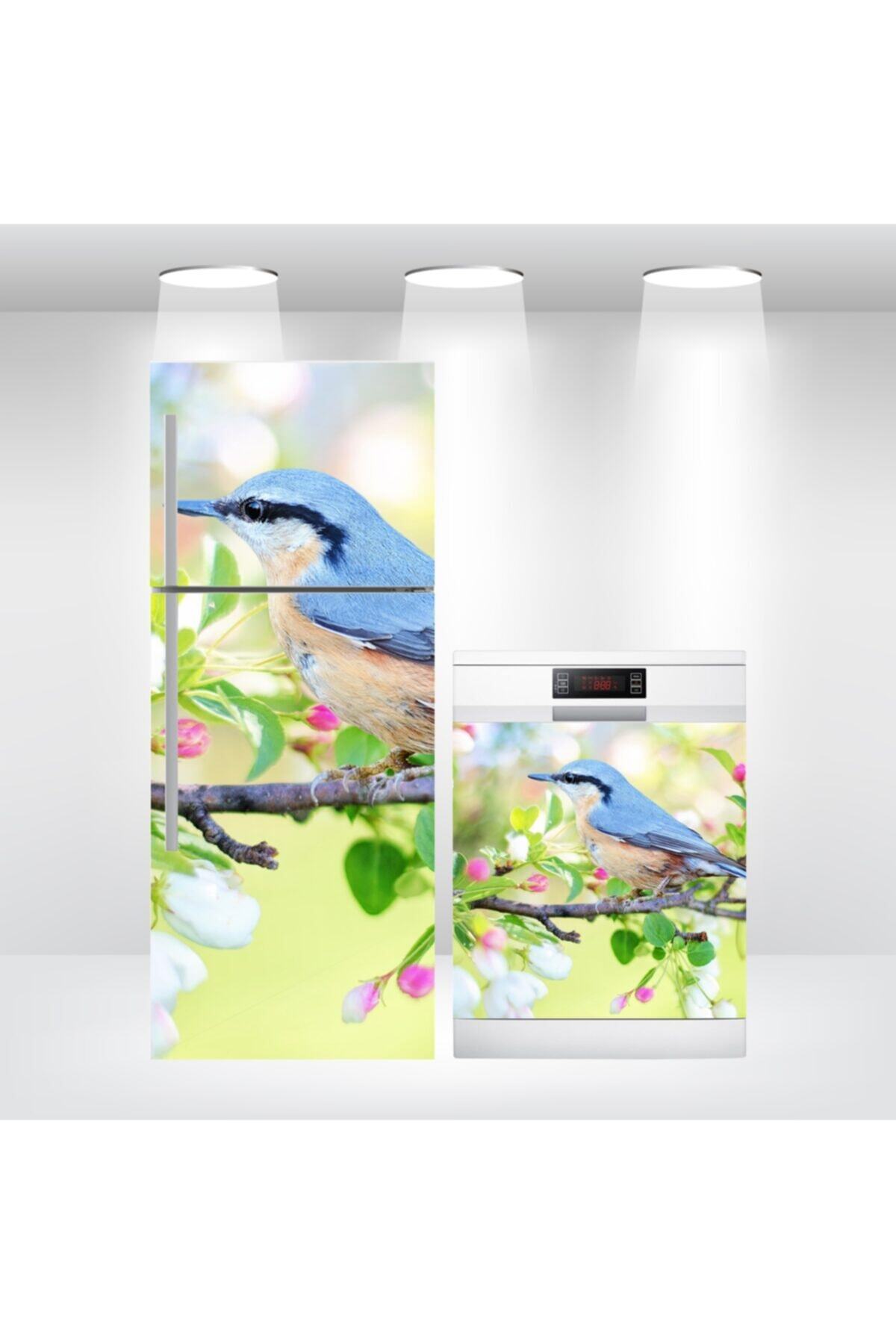 Buzdolabı Ve Bulaşık Makinesi Kapak Sticker Folyosu Kuş