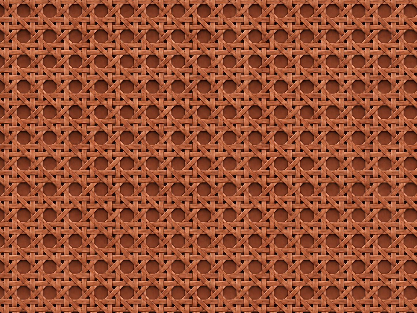 Terracotta Cane Duvar Kağıdı (HZR-013) – görsel 2